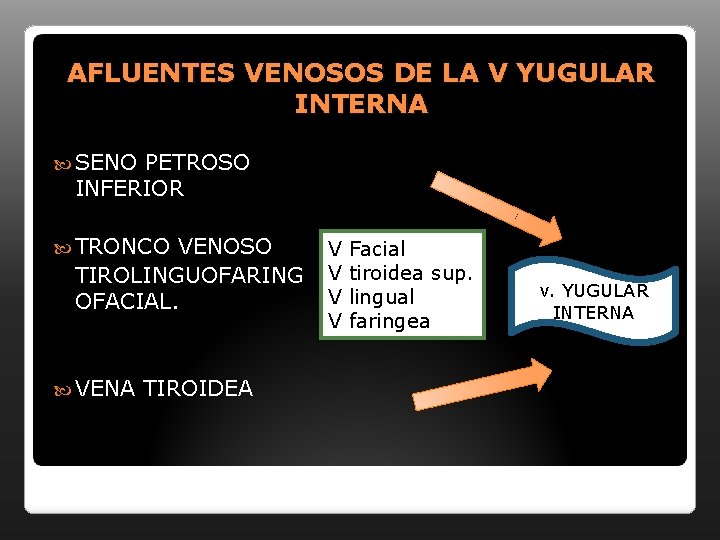 AFLUENTES VENOSOS DE LA V YUGULAR INTERNA SENO PETROSO INFERIOR TRONCO VENOSO TIROLINGUOFARING OFACIAL.