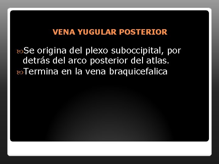 VENA YUGULAR POSTERIOR Se origina del plexo suboccipital, por detrás del arco posterior del