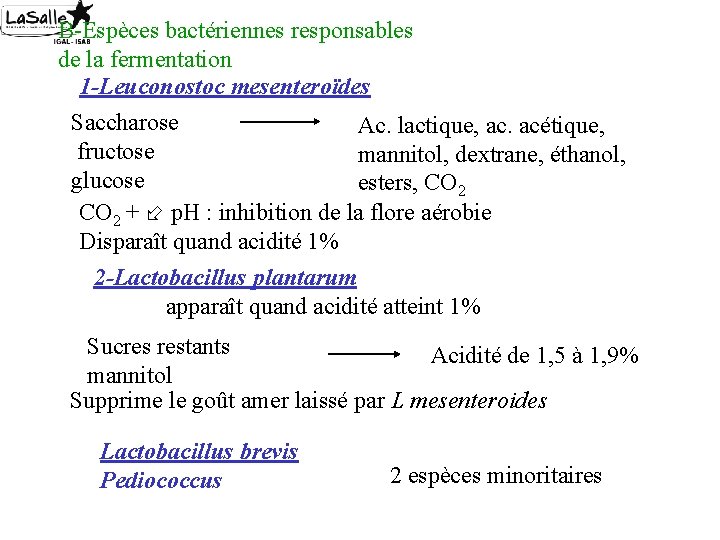 B-Espèces bactériennes responsables de la fermentation 1 -Leuconostoc mesenteroïdes Saccharose Ac. lactique, ac. acétique,