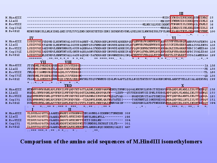 III M. Hind. III M. Lla. CI M. Eco. VIII M. Csp 231 I