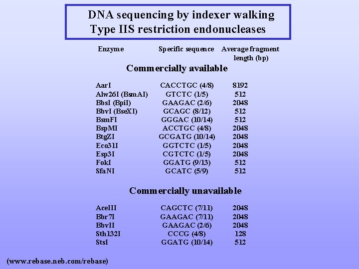 DNA sequencing by indexer walking Type IIS restriction endonucleases Enzyme Specific sequence Average fragment