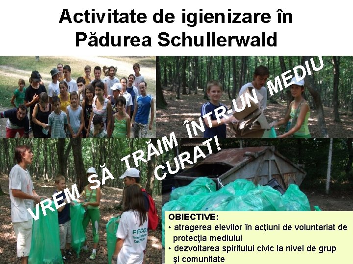 Activitate de igienizare în Pădurea Schullerwald U I D N U R- V M