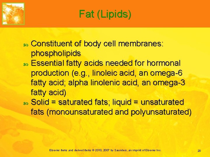 Fat (Lipids) Constituent of body cell membranes: phospholipids Essential fatty acids needed for hormonal