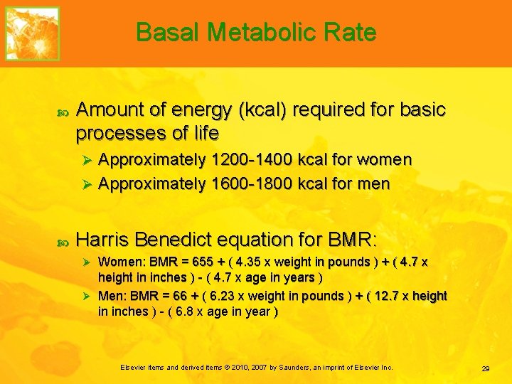 Basal Metabolic Rate Amount of energy (kcal) required for basic processes of life Approximately
