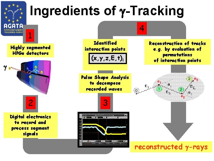 Ingredients of g-Tracking 1 Highly segmented HPGe detectors · · g · · 2