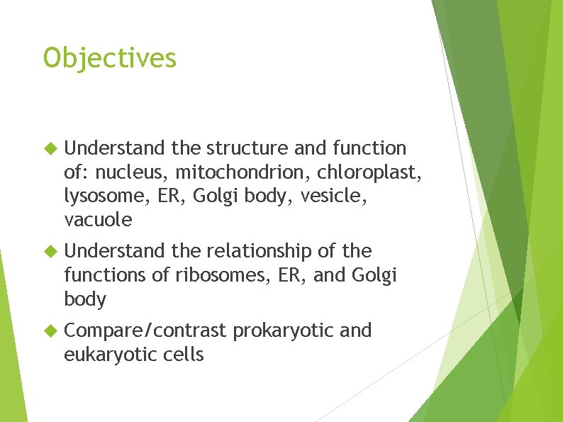 Objectives Understand the structure and function of: nucleus, mitochondrion, chloroplast, lysosome, ER, Golgi body,