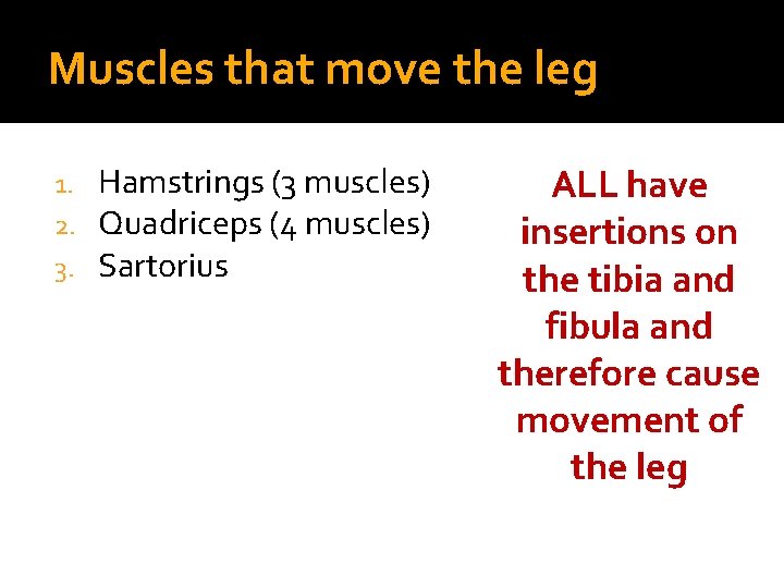 Muscles that move the leg 1. 2. 3. Hamstrings (3 muscles) Quadriceps (4 muscles)