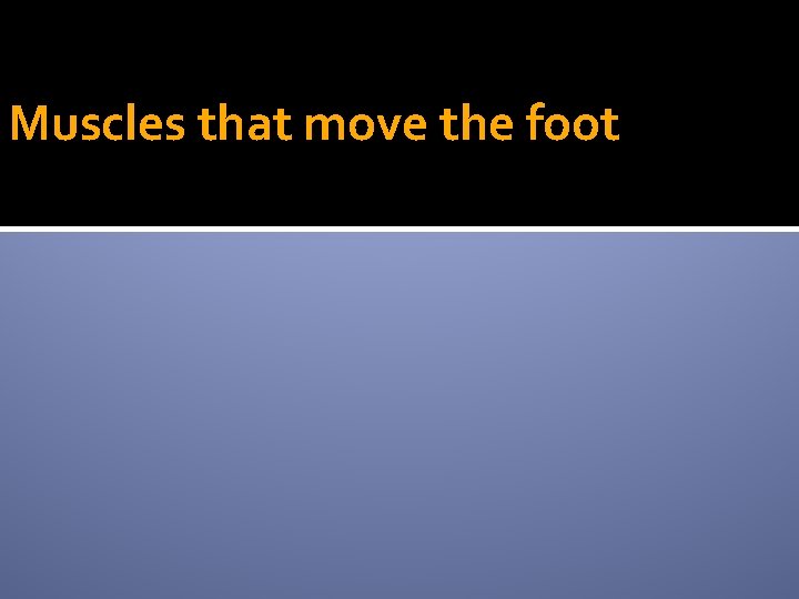 Muscles that move the foot 