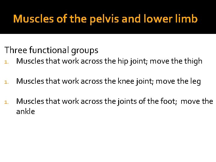 Muscles of the pelvis and lower limb Three functional groups 1. Muscles that work