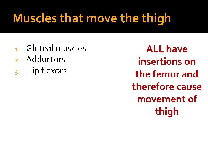 Muscles that move thigh 1. 2. 3. Gluteal muscles Adductors Hip flexors ALL have