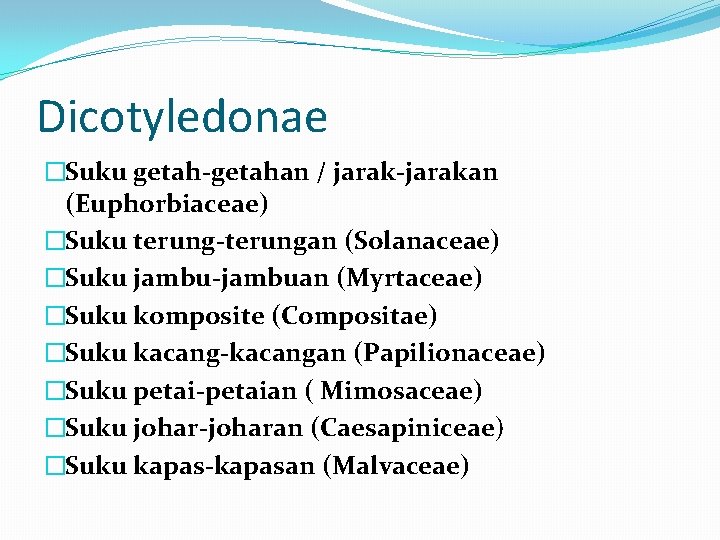 Dicotyledonae �Suku getah-getahan / jarak-jarakan (Euphorbiaceae) �Suku terung-terungan (Solanaceae) �Suku jambu-jambuan (Myrtaceae) �Suku komposite
