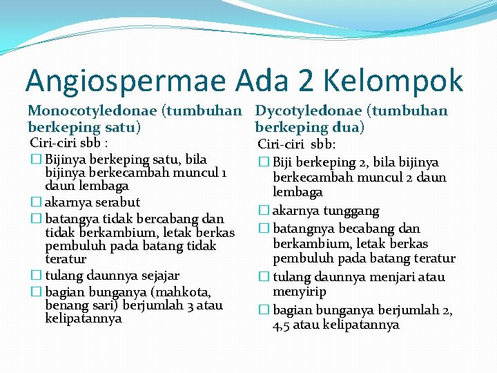 Angiospermae Ada 2 Kelompok Monocotyledonae (tumbuhan Dycotyledonae (tumbuhan berkeping satu) berkeping dua) Ciri-ciri sbb