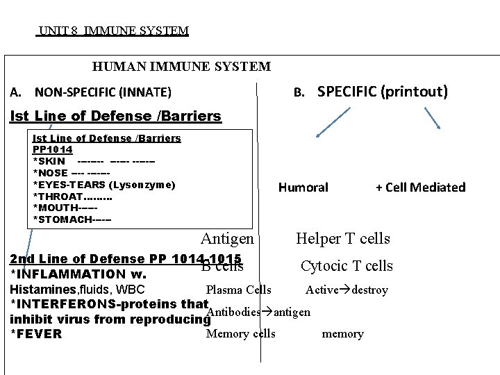 UNIT 8 IMMUNE SYSTEM HUMAN IMMUNE SYSTEM A. NON-SPECIFIC (INNATE) B. SPECIFIC (printout) Ist
