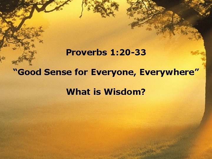 Proverbs 1: 20 -33 “Good Sense for Everyone, Everywhere” What is Wisdom? 