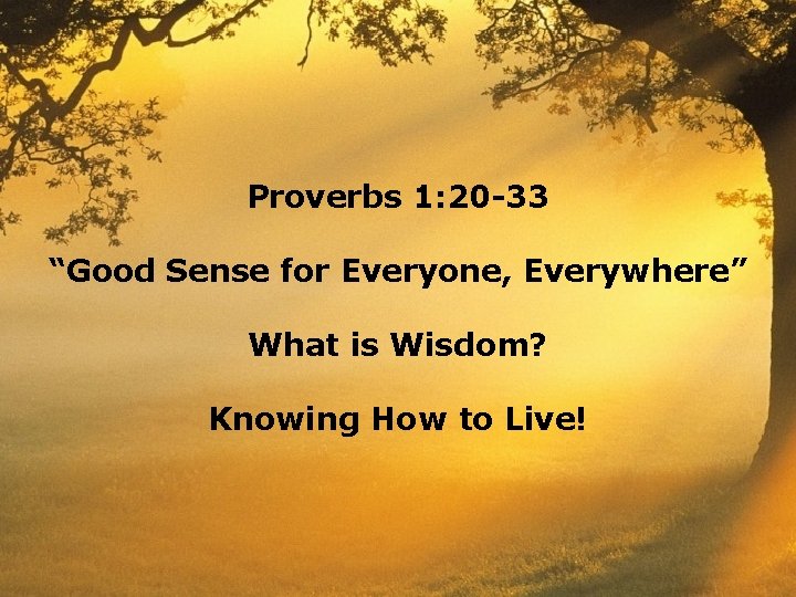Proverbs 1: 20 -33 “Good Sense for Everyone, Everywhere” What is Wisdom? Knowing How