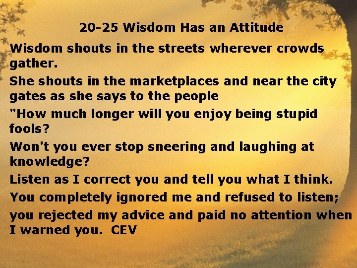 20 -25 Wisdom Has an Attitude Wisdom shouts in the streets wherever crowds gather.