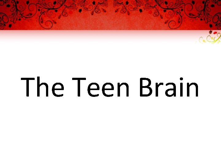 The Teen Brain 
