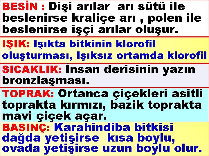 BESİN : Dişi arılar arı sütü ile beslenirse kraliçe arı , polen ile beslenirse