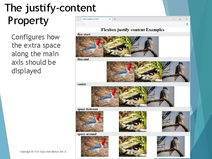 The justify-content Property Configures how the extra space along the main axis should be The justify-content Property Configures how the extra space along the main axis should be