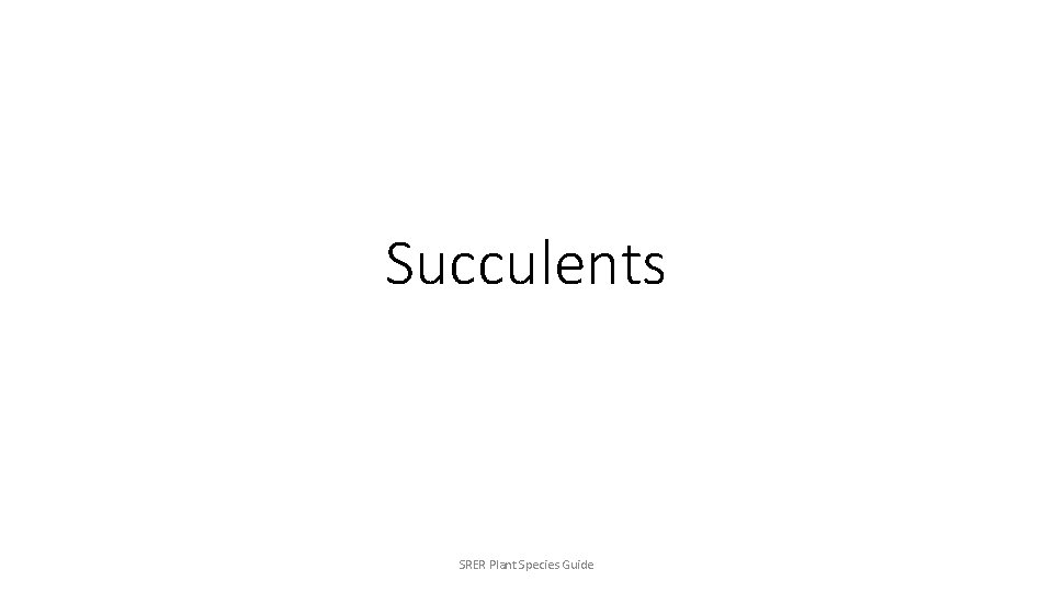 Succulents SRER Plant Species Guide 