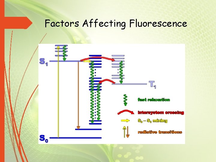 Factors Affecting Fluorescence 