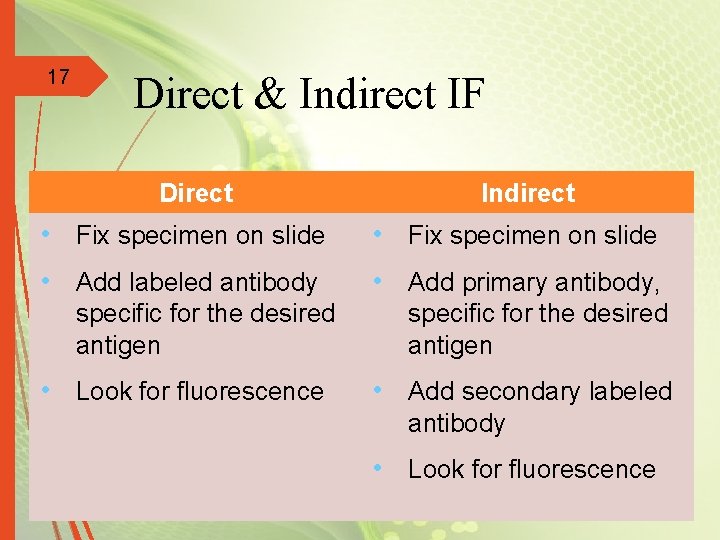 17 Direct & Indirect IF Direct Indirect • Fix specimen on slide • Add