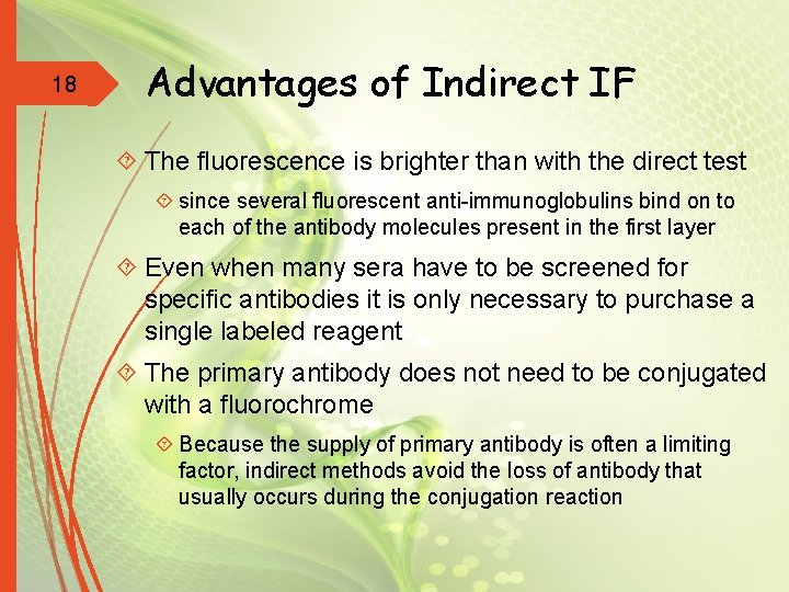 18 Advantages of Indirect IF The fluorescence is brighter than with the direct test