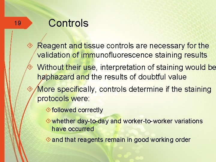 19 Controls Reagent and tissue controls are necessary for the validation of immunofluorescence staining