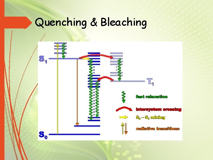 Quenching & Bleaching 