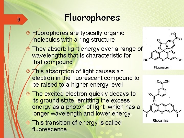 6 Fluorophores are typically organic molecules with a ring structure They absorb light energy