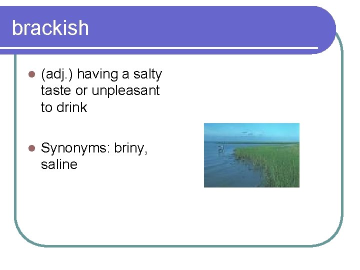 brackish l (adj. ) having a salty taste or unpleasant to drink l Synonyms: