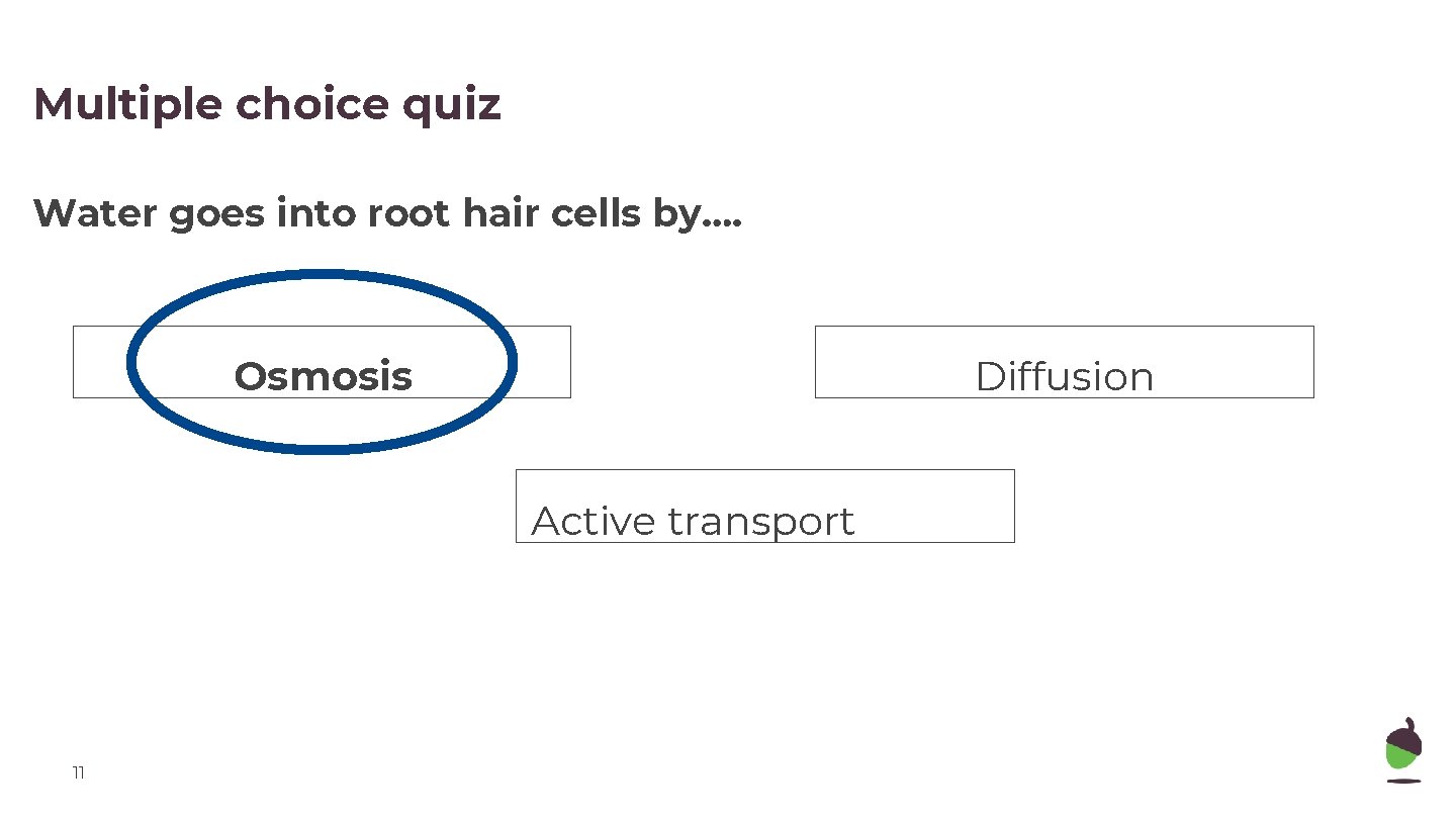 Multiple choice quiz Water goes into root hair cells by…. Osmosis Diffusion Active transport
