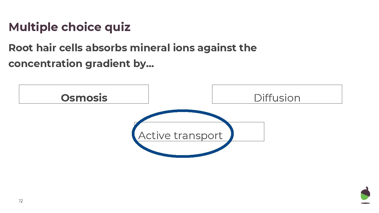 Multiple choice quiz Root hair cells absorbs mineral ions against the concentration gradient by.