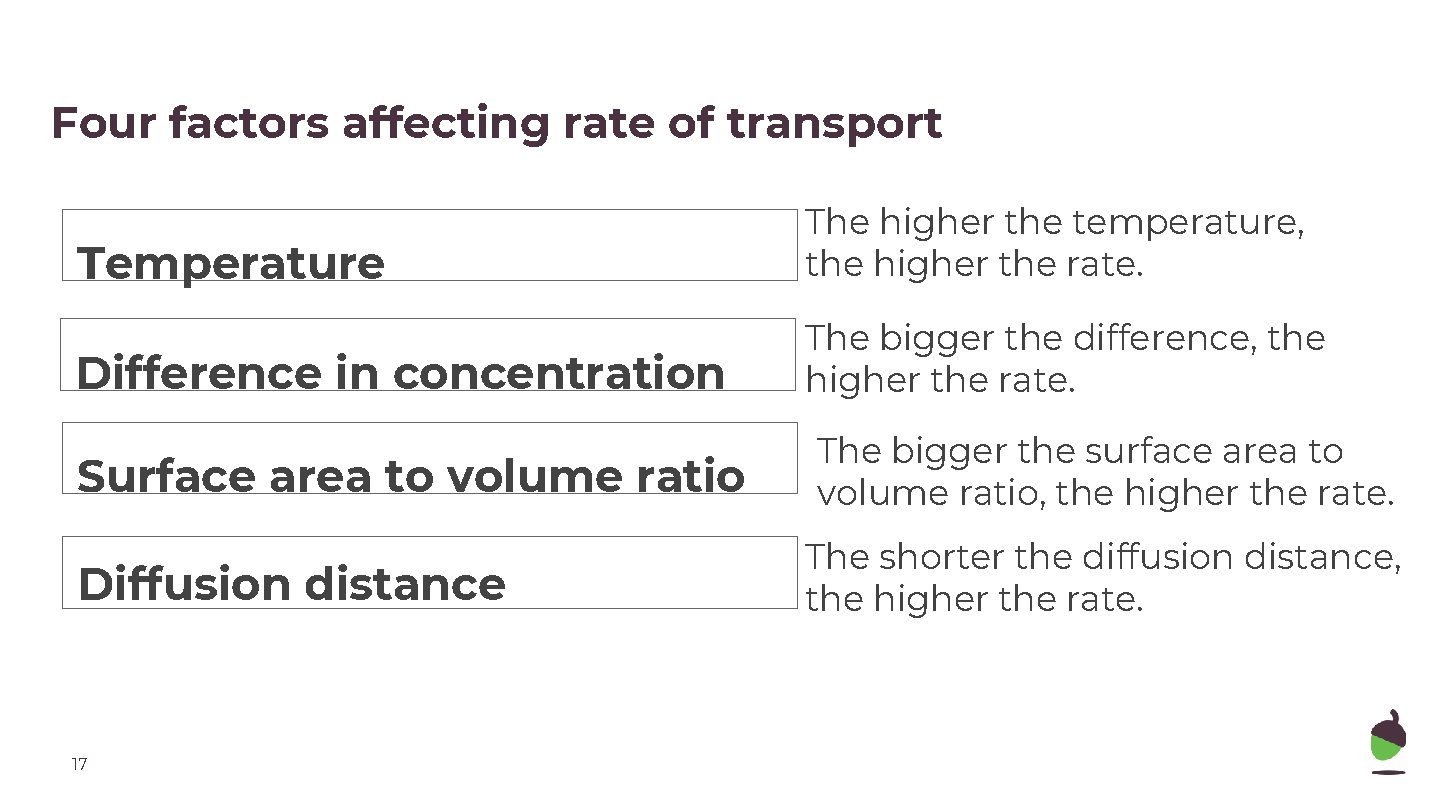 Four factors affecting rate of transport Temperature The higher the temperature, the higher the