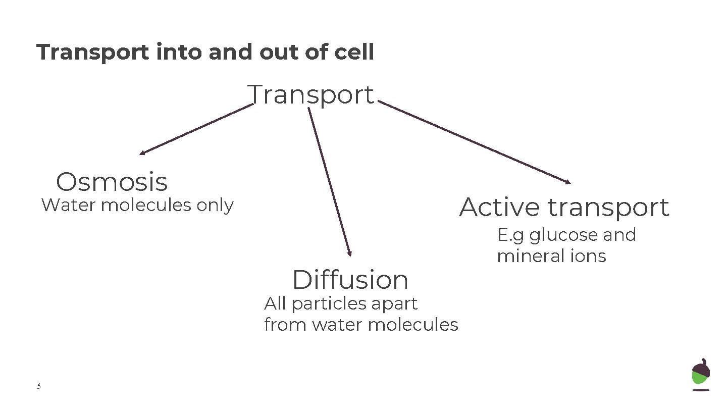 Transport into and out of cell Transport Osmosis Active transport Water molecules only Diffusion