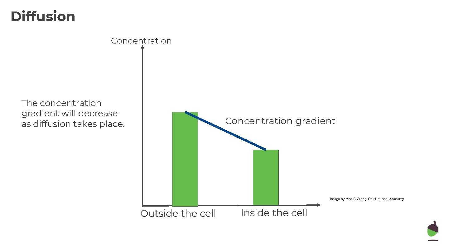 Diffusion Concentration The concentration gradient will decrease as diffusion takes place. Concentration gradient Image