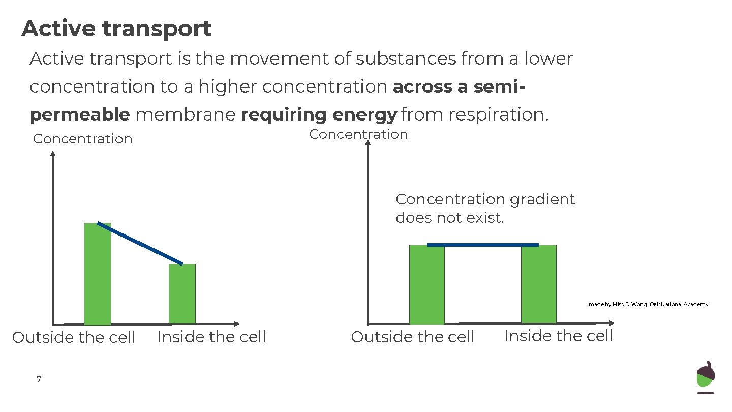 Active transport is the movement of substances from a lower concentration to a higher