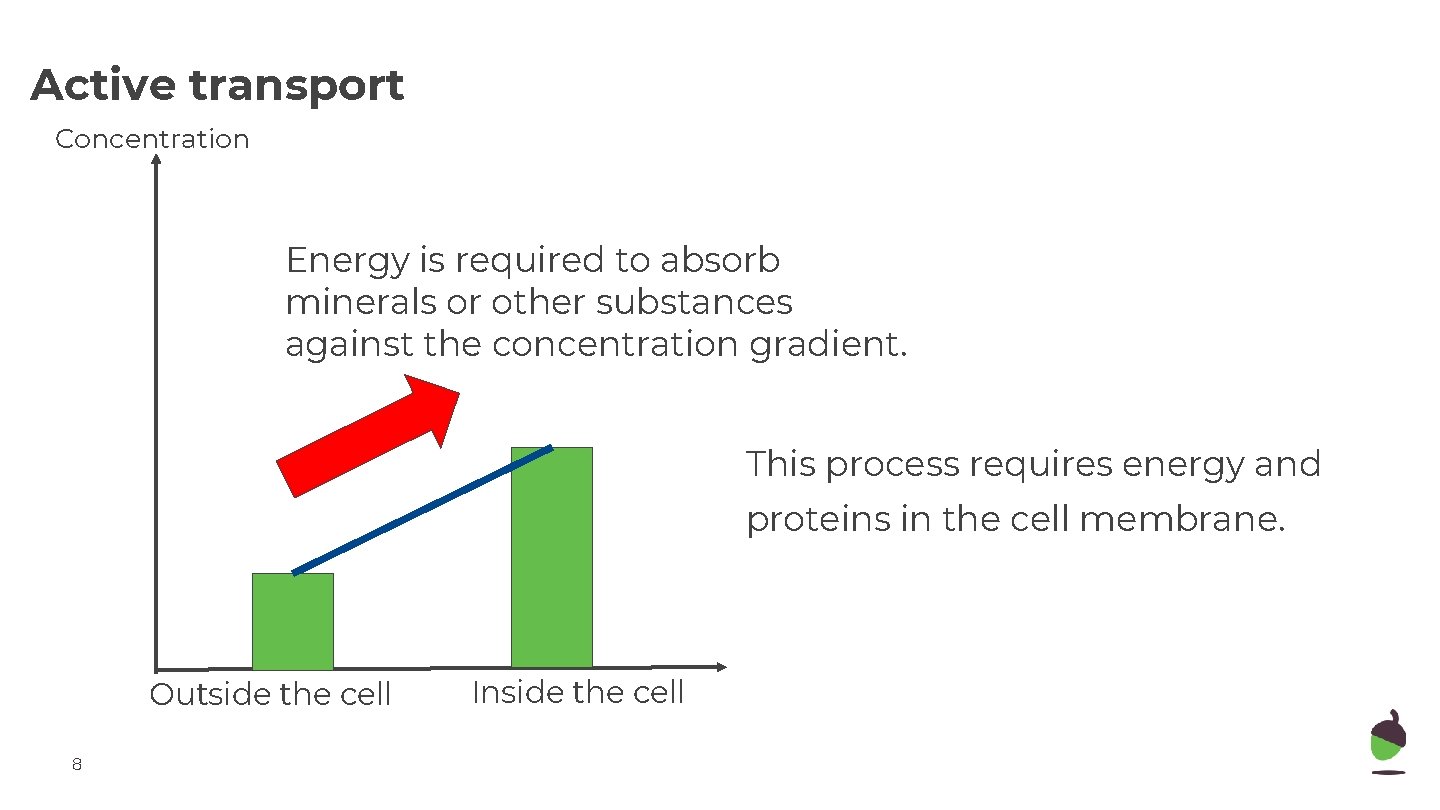 Active transport Concentration Energy is required to absorb minerals or other substances against the