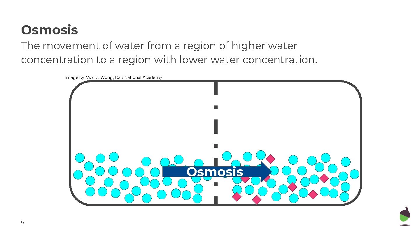 Osmosis The movement of water from a region of higher water concentration to a