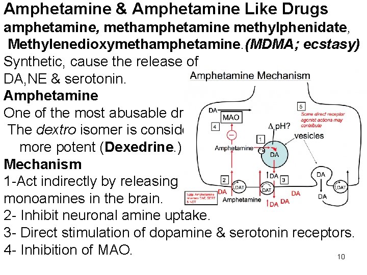 Amphetamine & Amphetamine Like Drugs amphetamine, methamphetamine methylphenidate, Methylenedioxymethamphetamine. (MDMA; ecstasy) Synthetic, cause the