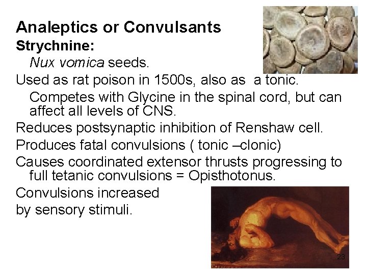 Analeptics or Convulsants Strychnine: Nux vomica seeds. Used as rat poison in 1500 s,