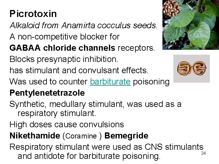 Picrotoxin Alkaloid from Anamirta cocculus seeds. A non-competitive blocker for GABAA chloride channels receptors.