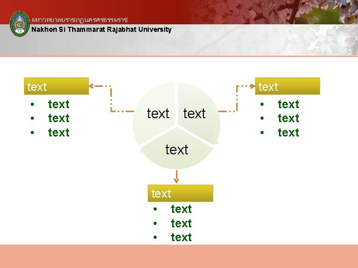 มหาวทยาลยราชภฏนครศรธรรมราช Nakhon Si Thammarat Rajabhat University text • text text • text • text