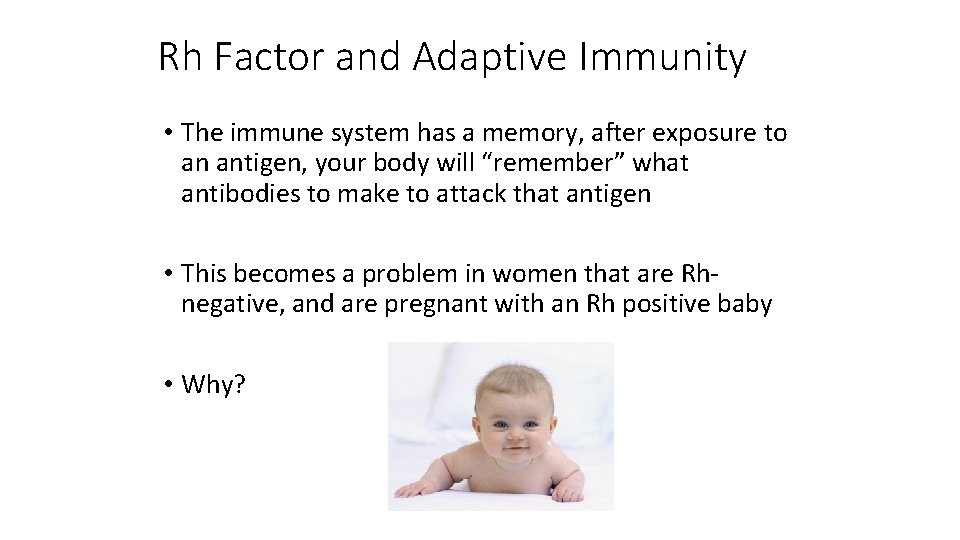 Rh Factor and Adaptive Immunity • The immune system has a memory, after exposure