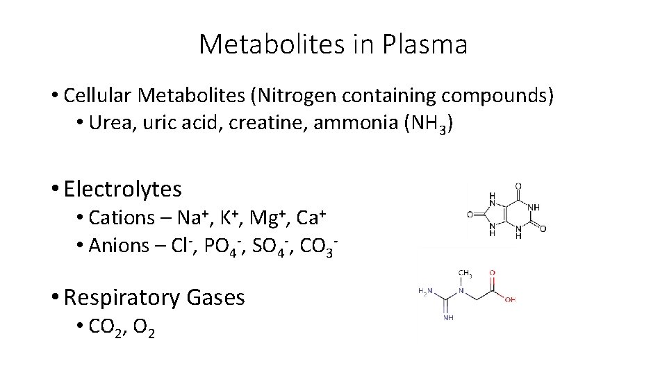 Metabolites in Plasma • Cellular Metabolites (Nitrogen containing compounds) • Urea, uric acid, creatine,