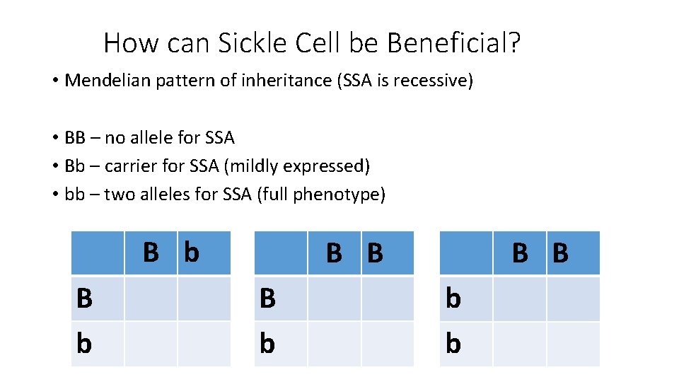 How can Sickle Cell be Beneficial? • Mendelian pattern of inheritance (SSA is recessive)