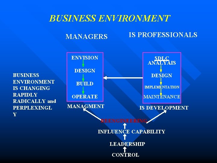 BUSINESS ENVIRONMENT IS CHANGING RAPIDLY RADICALLY and PERPLEXINGL Y MANAGERS IS PROFESSIONALS ENVISION SDLC