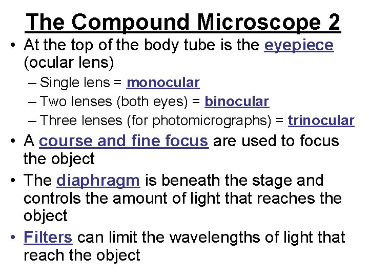 The Compound Microscope 2 • At the top of the body tube is the