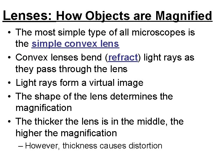 Lenses: How Objects are Magnified • The most simple type of all microscopes is