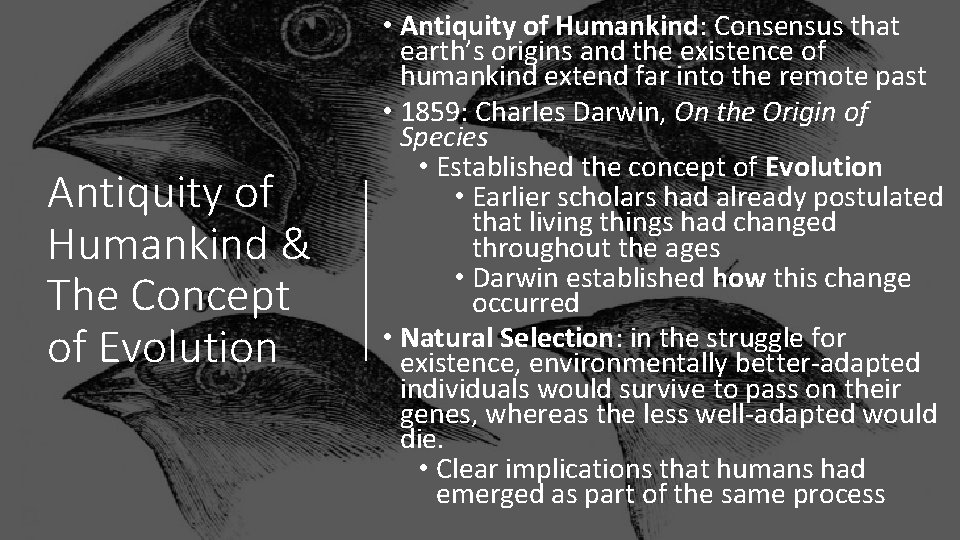 Antiquity of Humankind & The Concept of Evolution • Antiquity of Humankind: Consensus that